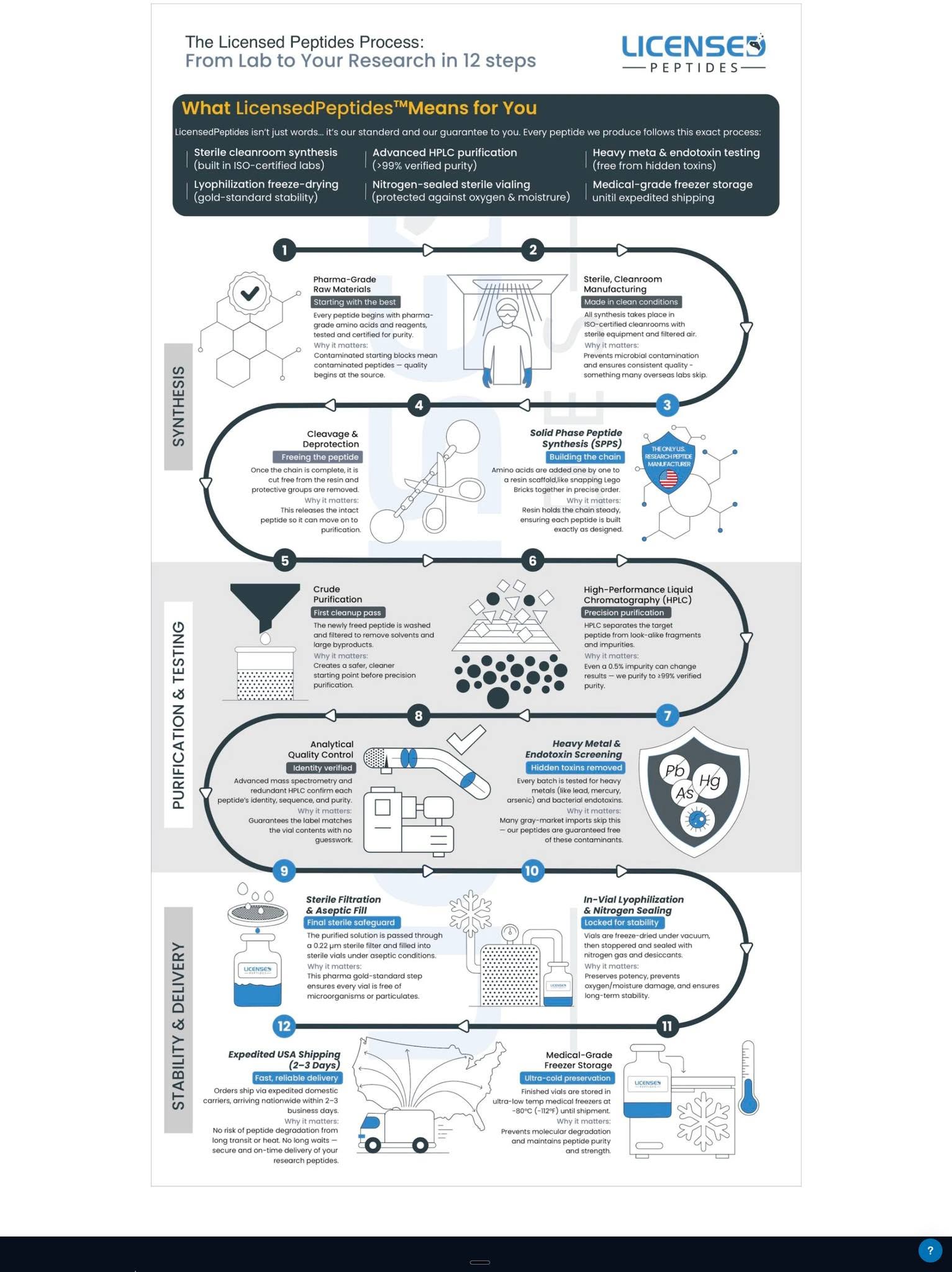 The Licensed Peptides process infographic, the same twelve steps and layout in blue and grey, published January 2026