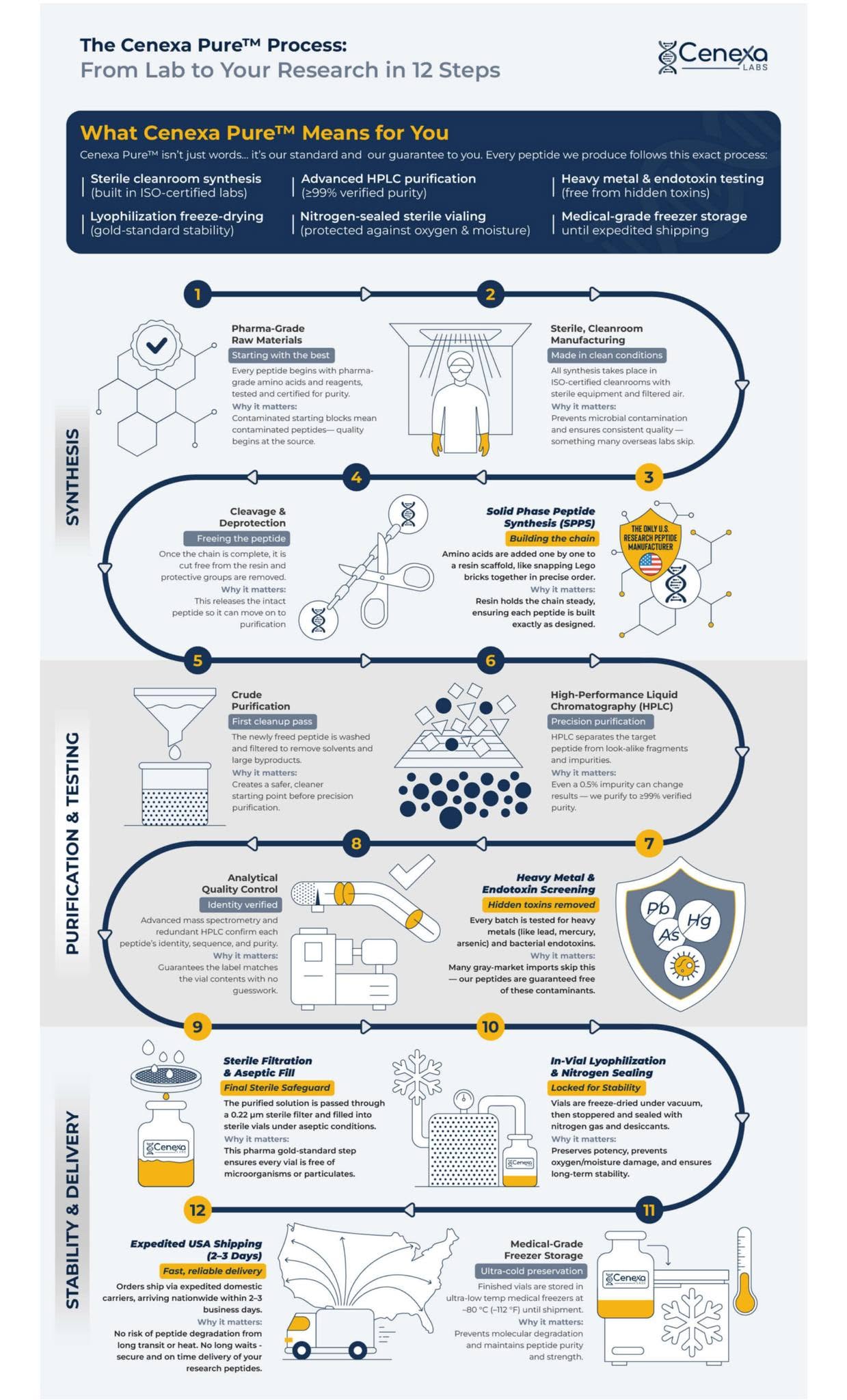 The Cenexa Pure Process infographic, twelve numbered manufacturing steps in navy and gold, published October 2025